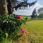 Beerberg By Interhome سوهل