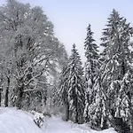 Beerberg By Interhome *