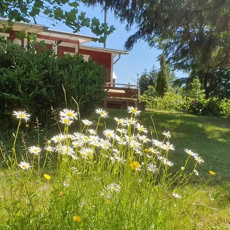 Beerberg By Interhome Holiday home