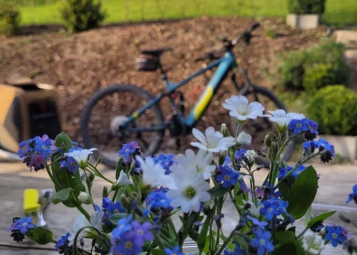 Beerberg By Interhome Holiday home Suhl