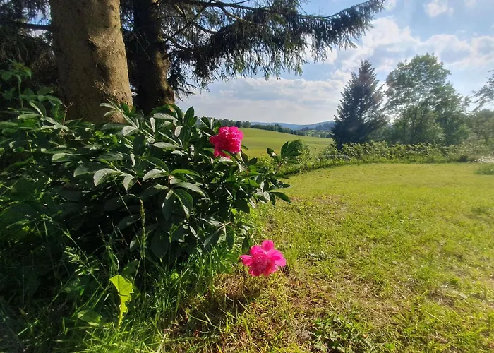 Beerberg By Interhome Suhl