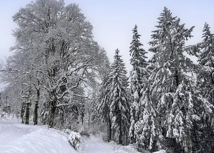 Beerberg By Interhome *