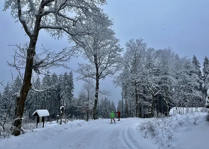 Beerberg By Interhome Suhl