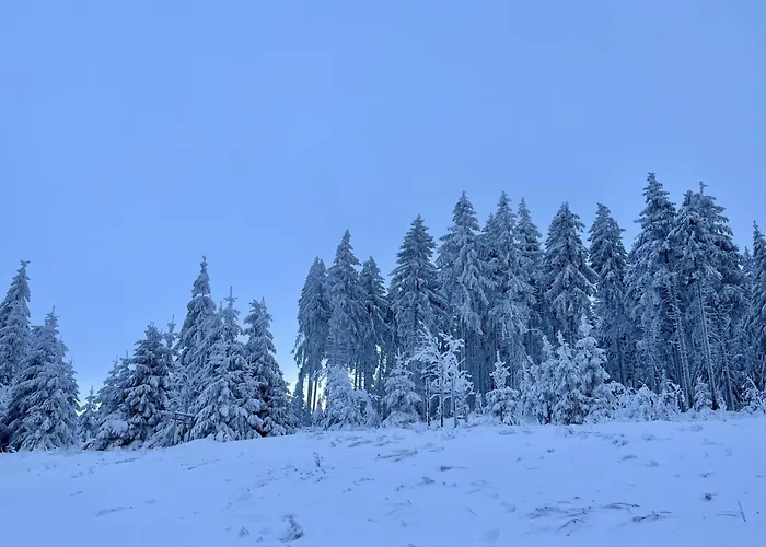 Beerberg By Interhome Holiday home *